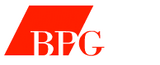 271 buccini pollin group inc