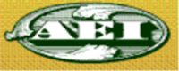 AEI Capital Corporation
