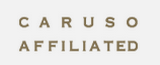 348 caruso affiliate holdings inc